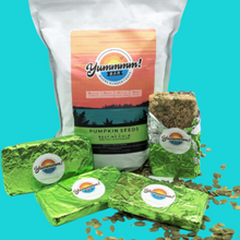 Load image into Gallery viewer, Pumpkin Seeds Power Crunch  |  12 Bars