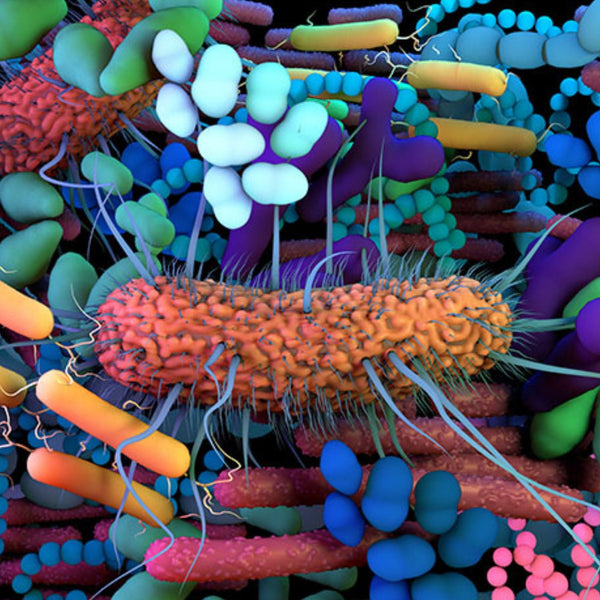 "Is Your Gut Microbiome Sabotaging Your Health?" by Anna Abel