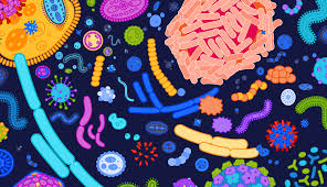"Is Your Gut Microbiome Sabotaging Your Health?" by Anna Abel